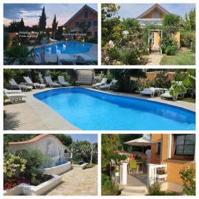 Paradise-Garden-Zamardi, Zamárdi